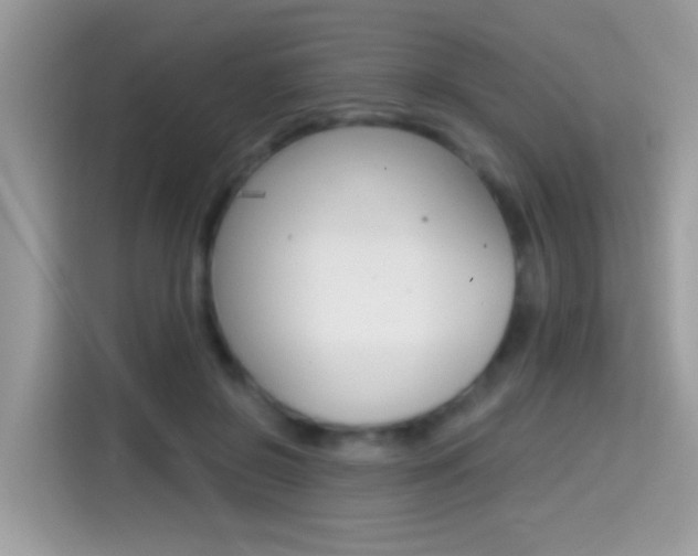 X0000114440550200910161054