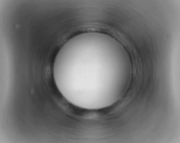 X0000114440551200910161054
