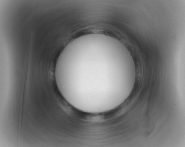 X0000114440553200910161054