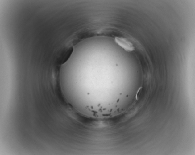 X0000114440558200910161054