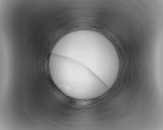 X0000114440559200910161054
