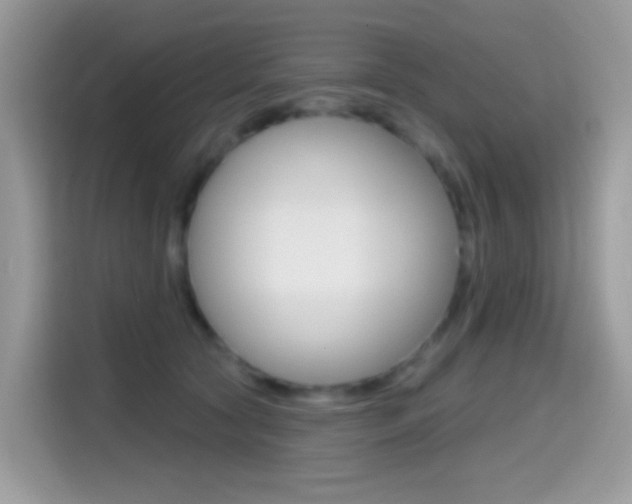 X0000114440561200910161054