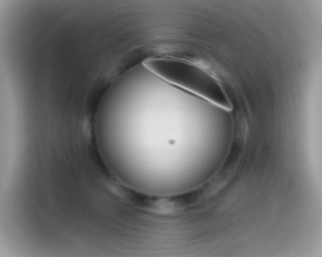 X0000114440562200910161054