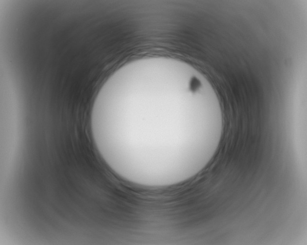 X0000114440566200910161054