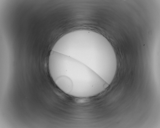 X0000114440567200910161054