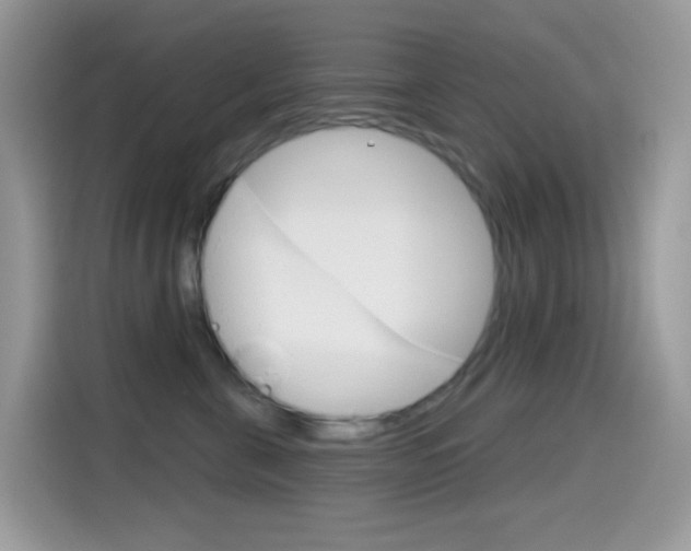 X0000114440571200910161054