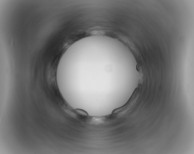 X0000114440573200910161054