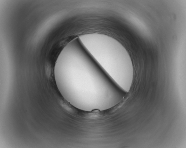 X0000114440574200910161054
