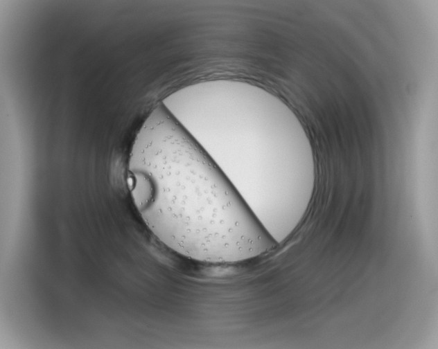 X0000114440575200910161054