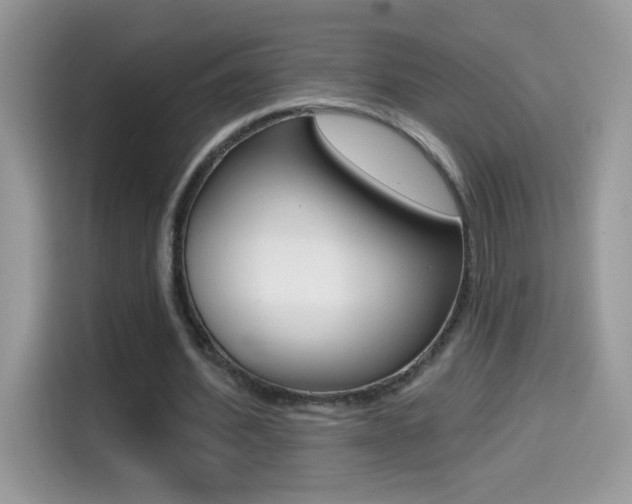 X0000114440580200910161054