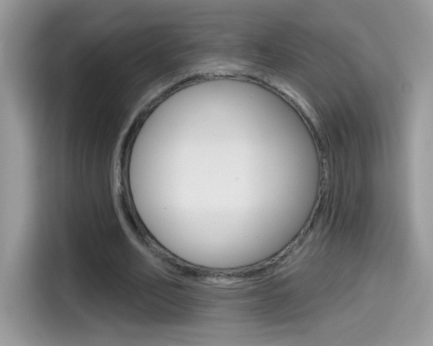 X0000114440582200910161054