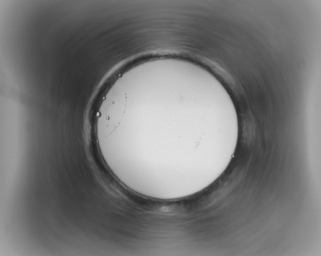 X0000114440584200910161054
