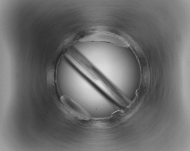 X0000114440585200910161054