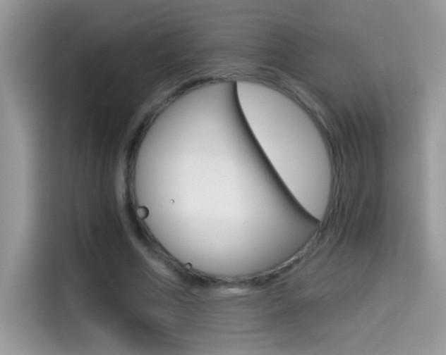 X0000114440586200910161054