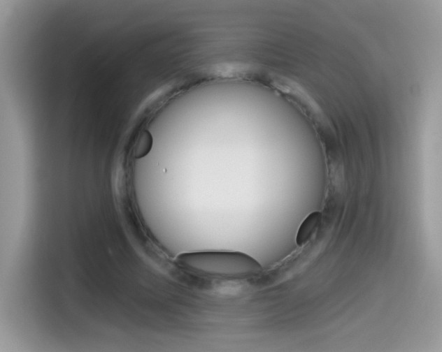 X0000114440587200910161054