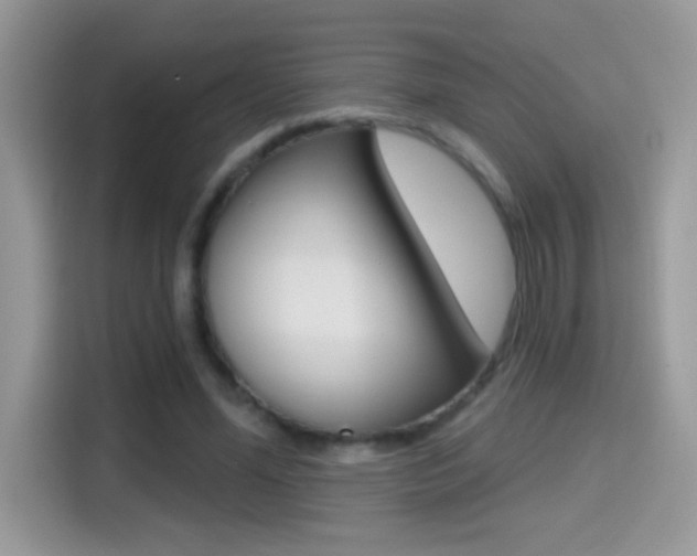 X0000114440588200910161054
