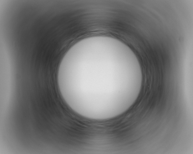 X0000114440595200910161053