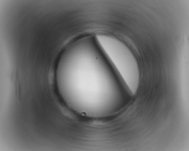 X0000114440596200910161053