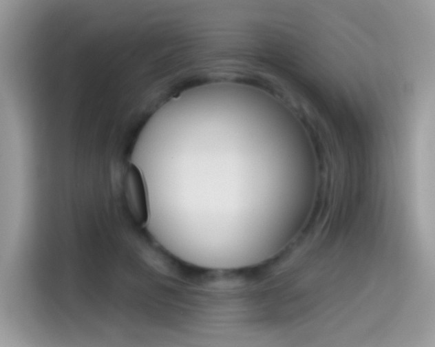 X0000114440601200910161053
