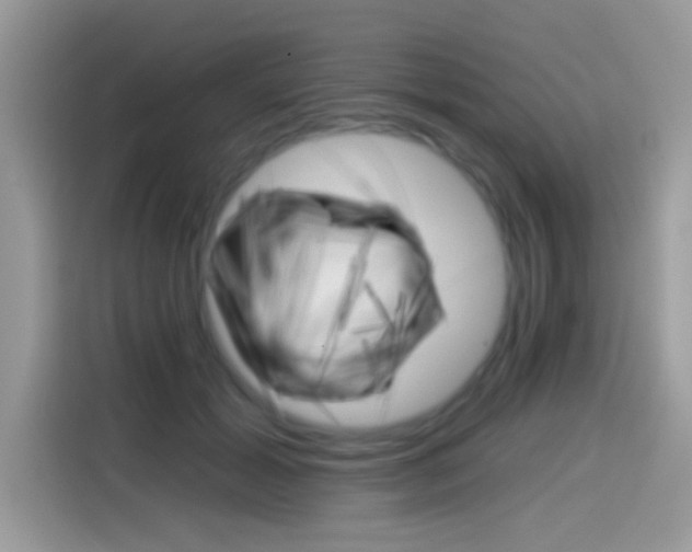 X0000114440605200910161053
