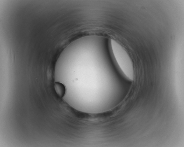 X0000114440608200910161053