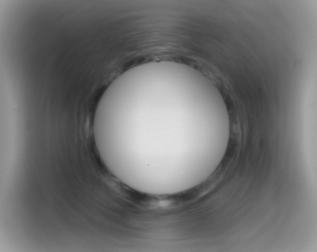 X0000114440610200910161053