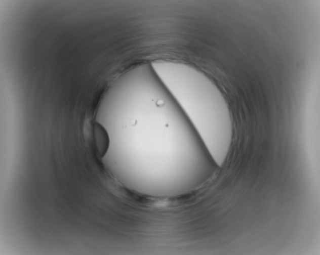 X0000114440611200910161053