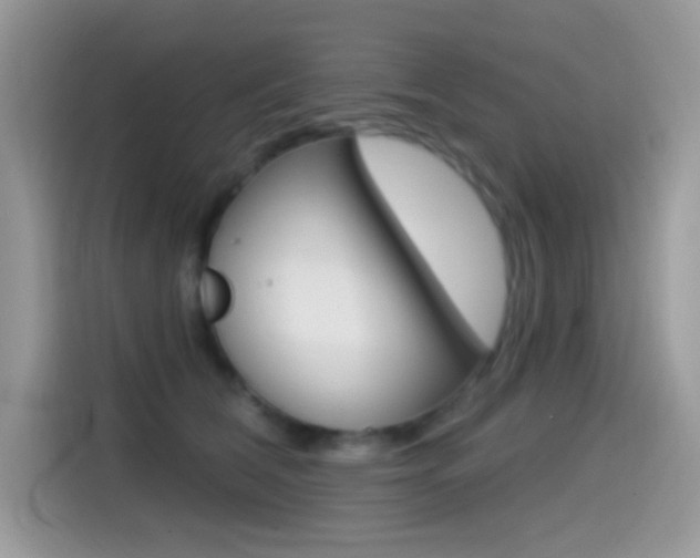 X0000114440612200910161053