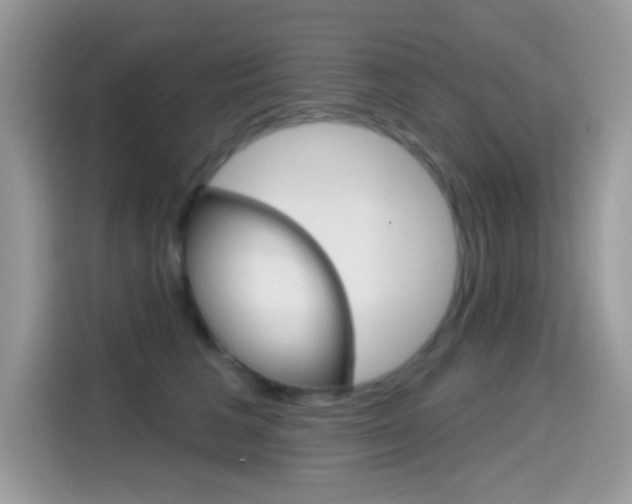 X0000114440613200910161053