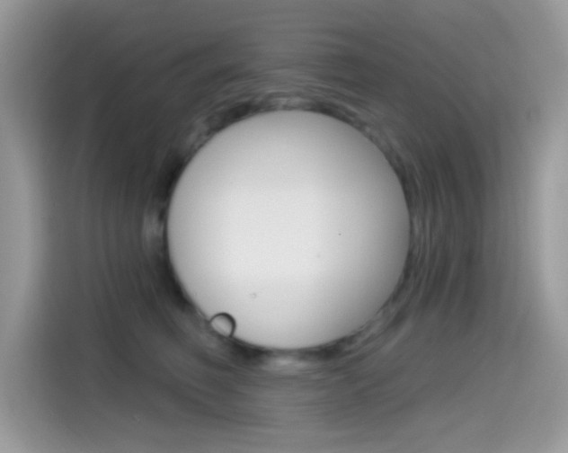 X0000114440614200910161053
