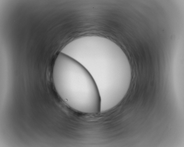 X0000114440615200910161053