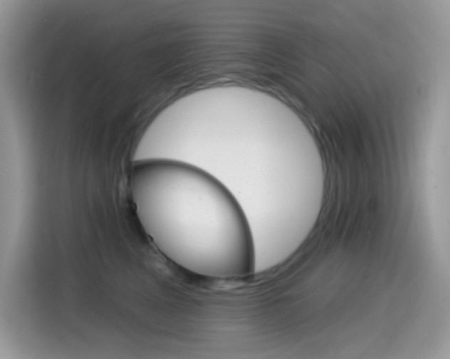 X0000114440617200910161053