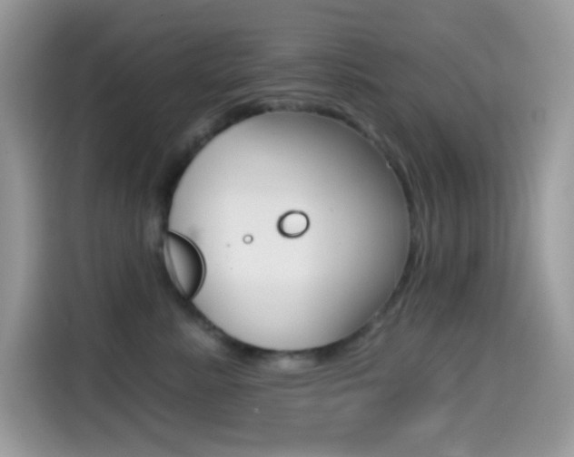 X0000114440619200910161053