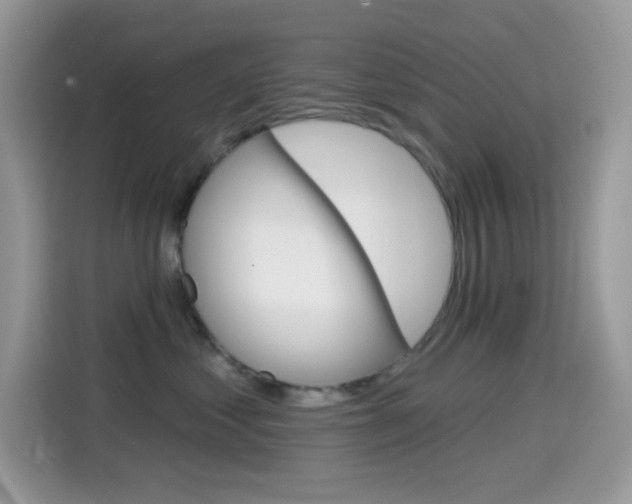 X0000114440621200910161053