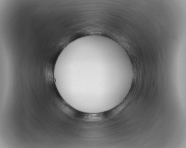 X0000114440622200910161053