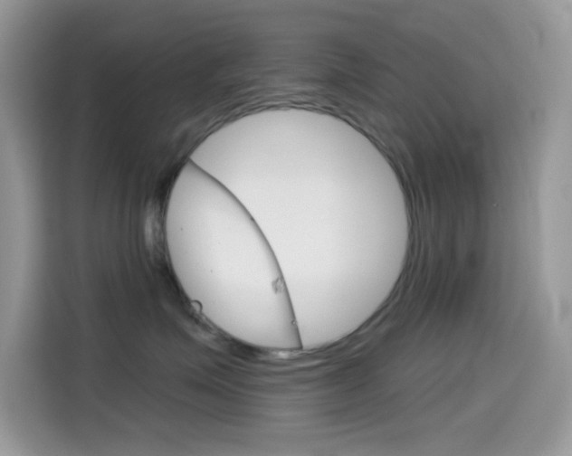 X0000114440623200910161053