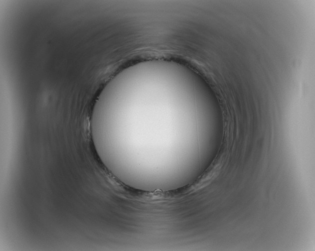 X0000114440624200910161053