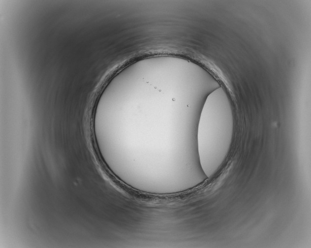 X0000114440625200910161052