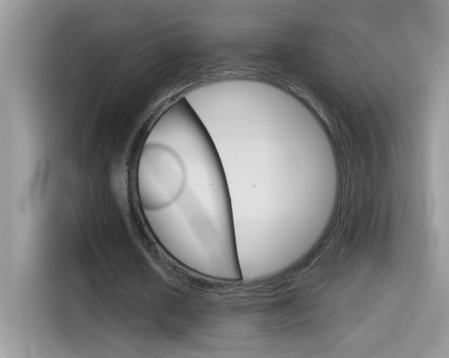 X0000114440626200910161053