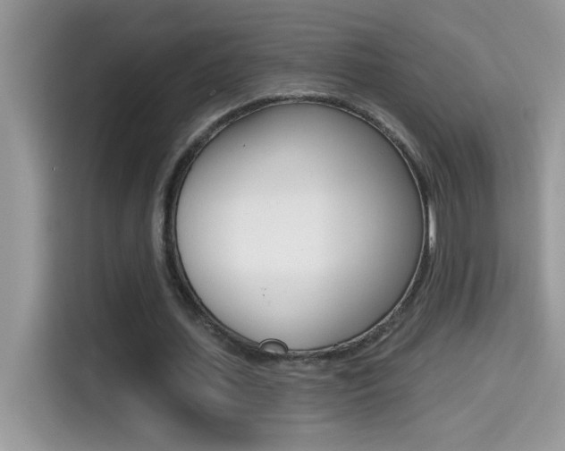 X0000114440627200910161053