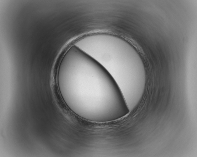 X0000114440628200910161053