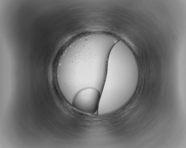 X0000114440631200910161053