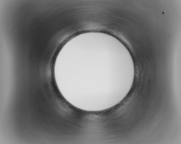 X0000114440632200910161053