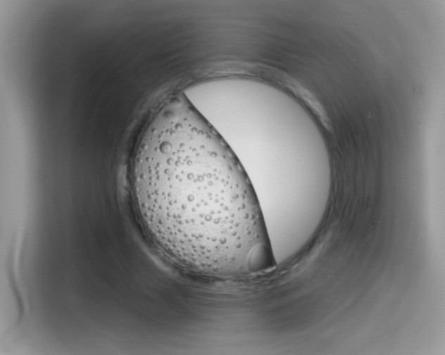 X0000114440633200910161053