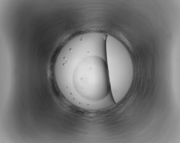 X0000114440635200910161053
