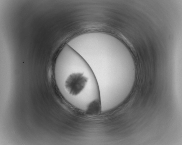 X0000114440637200910161053