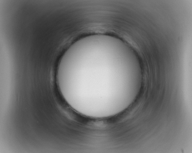 X0000114440639200910161053