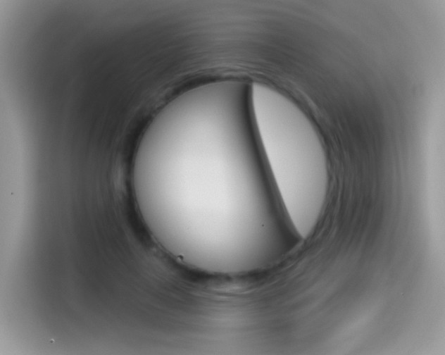 X0000114440643200910161053