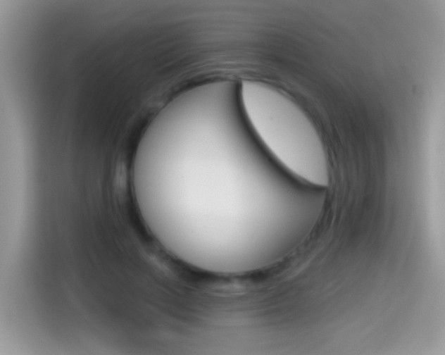 X0000114440646200910161053
