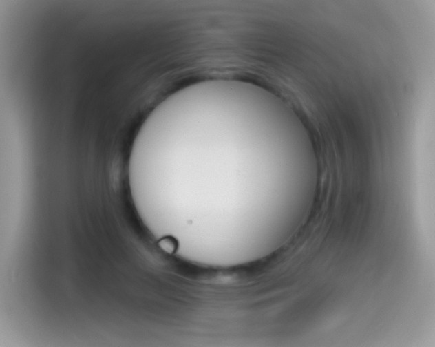 X0000114440647200910161053